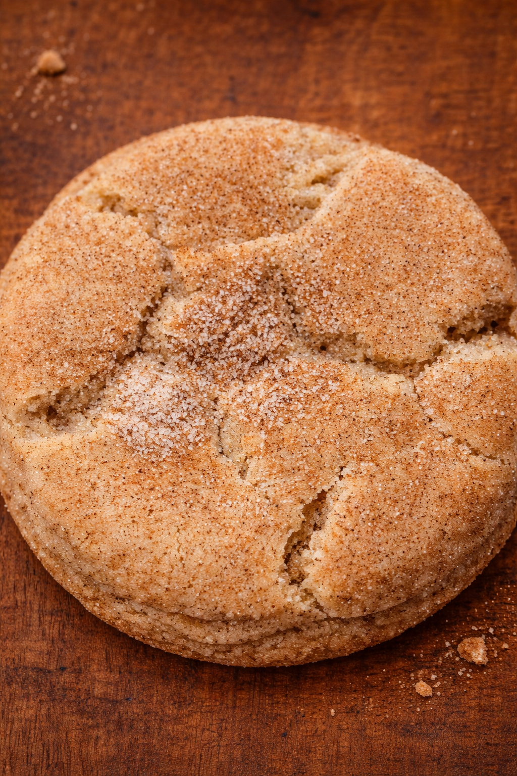 Sourdough Snickerdoodle Cookie Mix